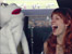 DVD #3